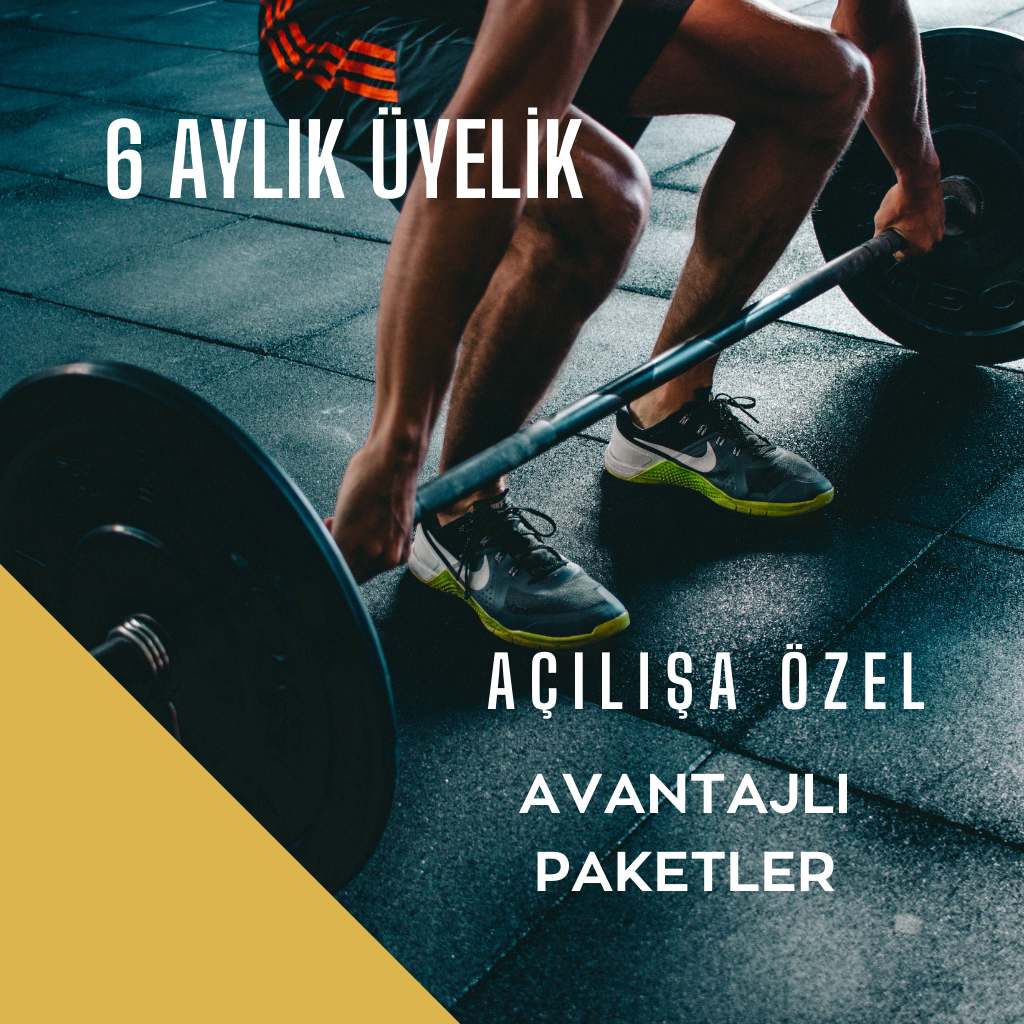 6 Aylık Paket